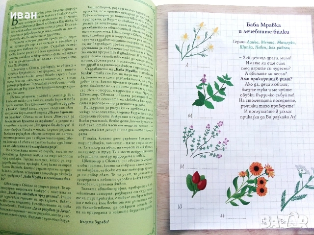 Баба Мравка и лечебните билки - Галена Върбева, снимка 3 - Детски книжки - 54911582