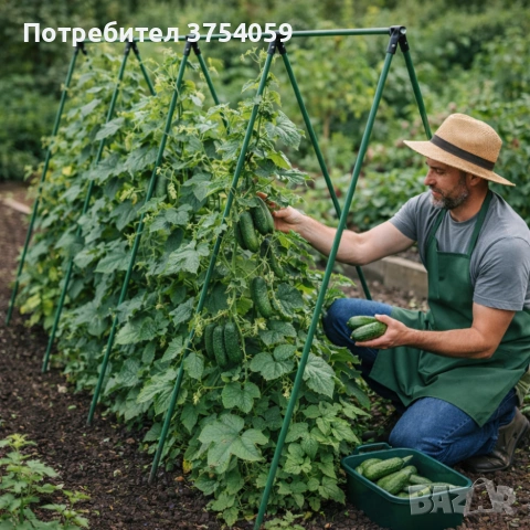 Градинска рамка тип пергола - издръжлива и устойчива - 4 броя, снимка 2 - Градински мебели, декорация  - 55163738
