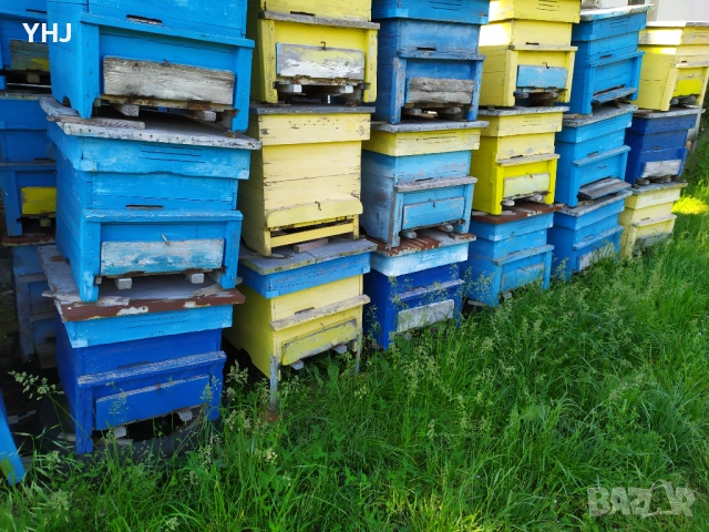 Продавам пчелни кошери