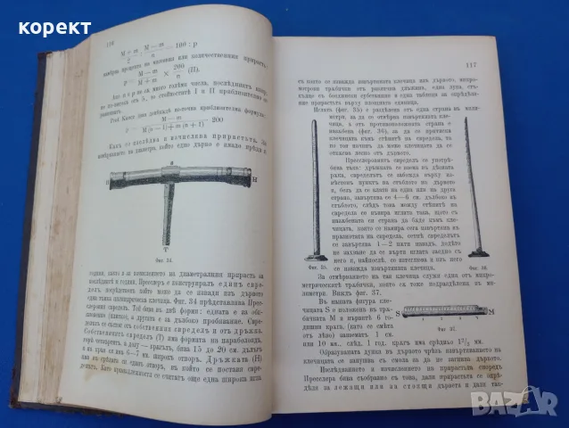 1893г. Развъждане на горите, снимка 8 - Антикварни и старинни предмети - 55501361