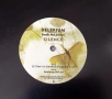 Грамофонни плочи -  DJ СИНГЛИ 12 maxi single, снимка 12