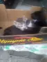 Подарявам котета , снимка 3