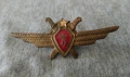 Знак на пилота на ВВС на БНА. бронз. емайл., снимка 1