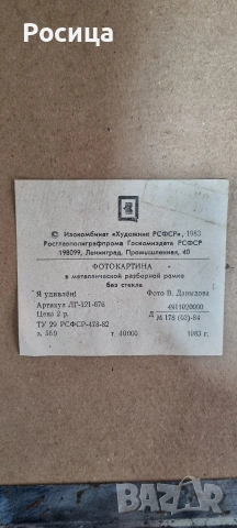 Фотокартина "Я удивлен", снимка 5 - Картини - 54029717