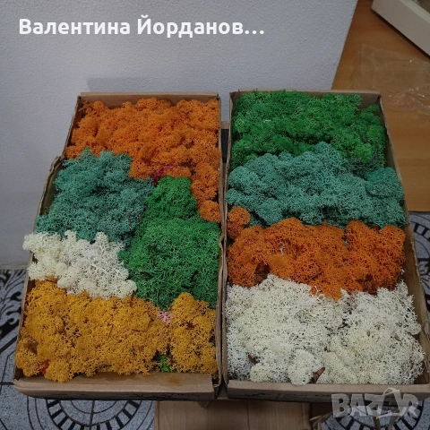 скандинавски мъх микс цветове в кутия , снимка 2 - Декорация за дома - 54902267