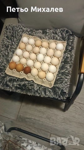 продавам домашни яйца с Кукорево , снимка 2 - Кокошки и пуйки - 54607797