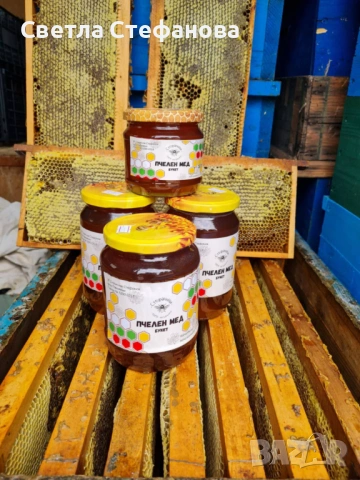 Пчелен мед , снимка 3 - За пчели - 54157461