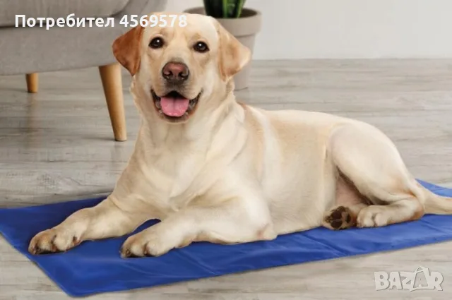 🥏 Охлаждаща подложка за домашни любимци!🐶 😺, снимка 2 - Други стоки за животни - 55328557