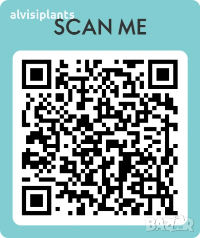 Oriflame нов екип 