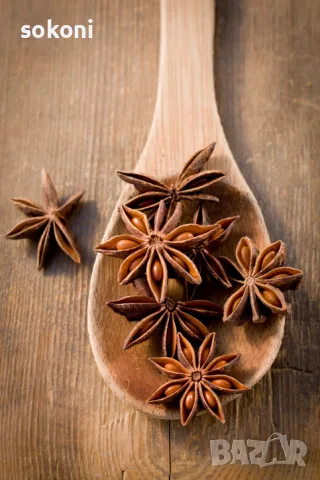 Star Aniseeds / Звездовиден Анасон 50гр