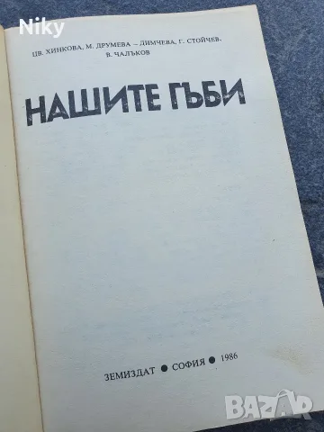 Гъбите в България , снимка 2 - Други - 55538003