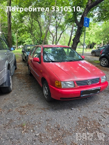VW Polo
