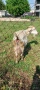 2 бр. кози (коза) , снимка 4
