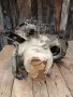 Скоростна кутия (ръчна 5-степенна JB1 / JB3) за Renault Megane / Megane Scenic 1.6e (K7M), снимка 8