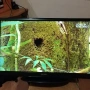 32" телевизор Sang, снимка 8