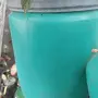 зелен бидон употребяван, снимка 1