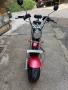 Cyticoco, снимка 2