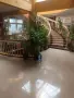 Магазин/офис под наем - 39 кв.м, център, снимка 2