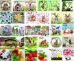 Салфетки на бройка 6, снимка 9