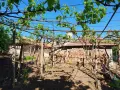 Продава се къща в Долна Оряховица с голям двор и кладенец близо до Търново 0889550205, снимка 8