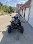 атв Шинерай 300кибика, снимка 6