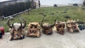 Продажба и изработка на кукерски маски , снимка 1