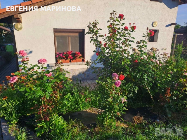 Продавам къща в селото Комарево Плевенско