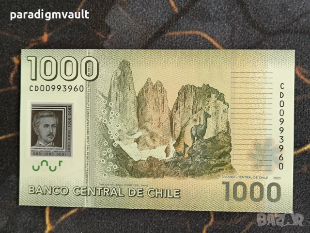 Банкнота - Чили - 1000 песо UNC | 2020г., снимка 2 - Нумизматика и бонистика - 54496467