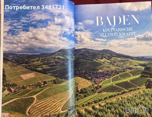 Справочник - вината на Германия 2020 / Falstaff Wein Guide Deutschland 2020, снимка 8 - Кулинария - 55064979