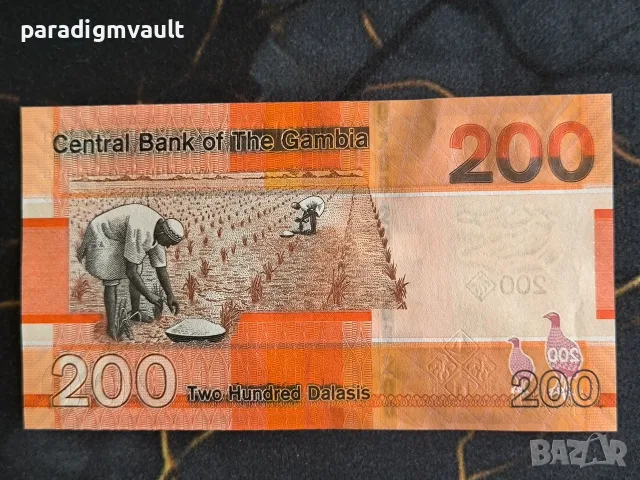 Банкнота - Гамбия - 200 даласи UNC | 2023г., снимка 2 - Нумизматика и бонистика - 55604314