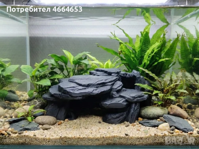 Декорации за Аквариум, снимка 2 - Оборудване за аквариуми - 54324492
