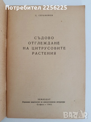 Съдово отглеждане на цитрусовите растения , снимка 4 - Специализирана литература - 54550902
