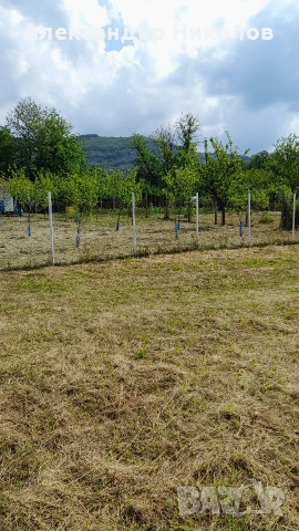 Продава се парцел в село Пецовци, снимка 13 - Парцели - 55091766