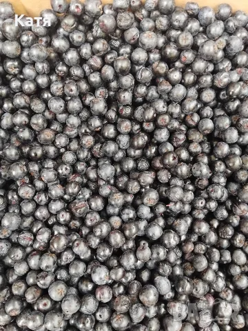 Арония Плод с много добро качество , снимка 2 - Домашни продукти - 55563010