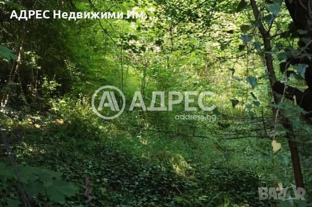Парцел/Терен, продажба, Смолян, кв. Нов център, снимка 2 - Парцели - 55199427