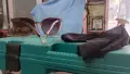 слънчеви очила нови , снимка 1