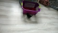 Подарявам 4 малки котенца, снимка 8