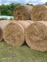 Люцерна 2026г.-рулонни бали , снимка 1