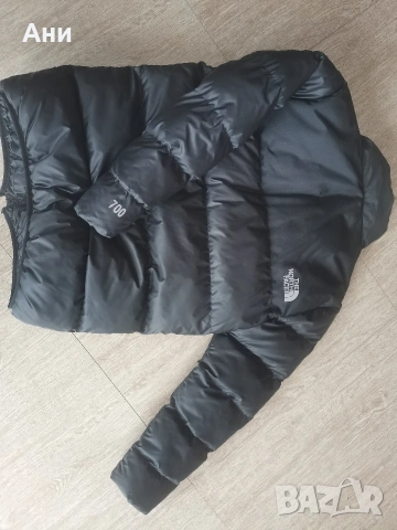 Мъжко зимно яке The north face