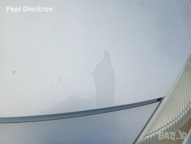 Преден капак Renault Scenic II (2003-2009г.), снимка 2 - Части - 54085683