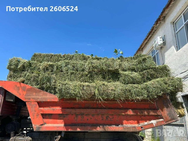 Малки бали люцерна , снимка 2 - За селскостопански - 55268449