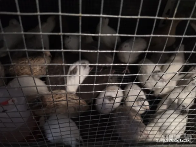 падпадъци падпадъци 