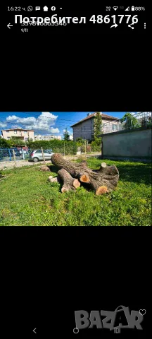 Ствол на дърво- орех, снимка 3 - Други стоки за дома - 55673923