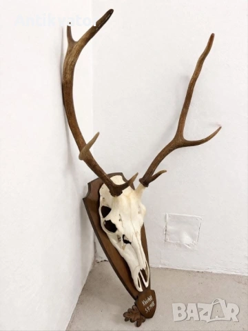 Малък Елен с дървена поставка