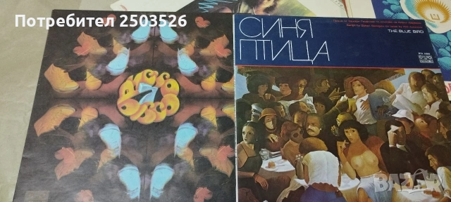Винилови плочи, снимка 16 - Грамофонни плочи - 54573045