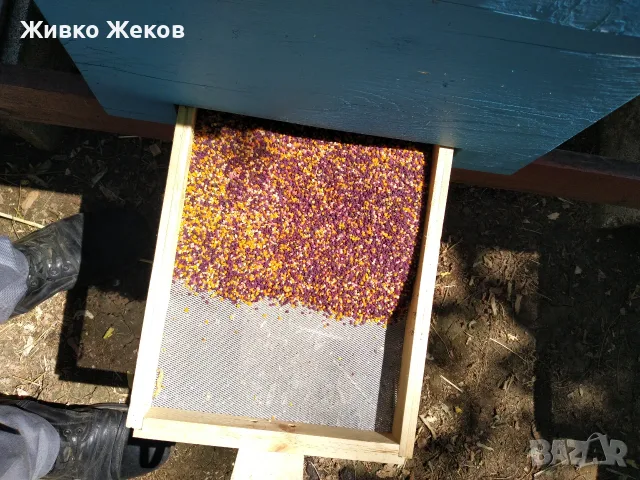 Пчелен прашец "Сребърна"-реколта 2026г., снимка 8 - Пчелни продукти - 49031525