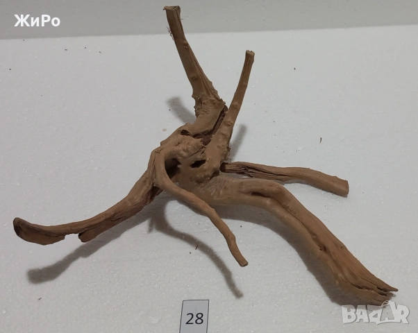 Корен от Азалия /декорация/ 28