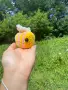 Ръчно изплетени с много любов играчки. , снимка 12