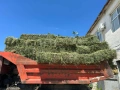 Малки бали люцерна , снимка 2