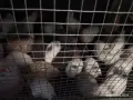 падпадъци падпадъци , снимка 1